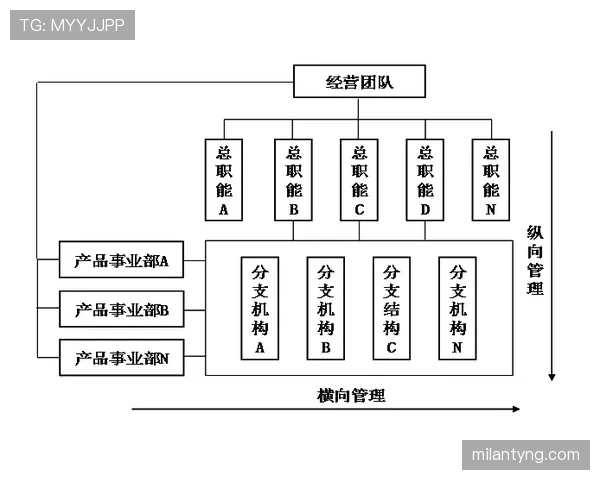 范戴克与鲁本迪亚在防线组织下形成稳定分散结构